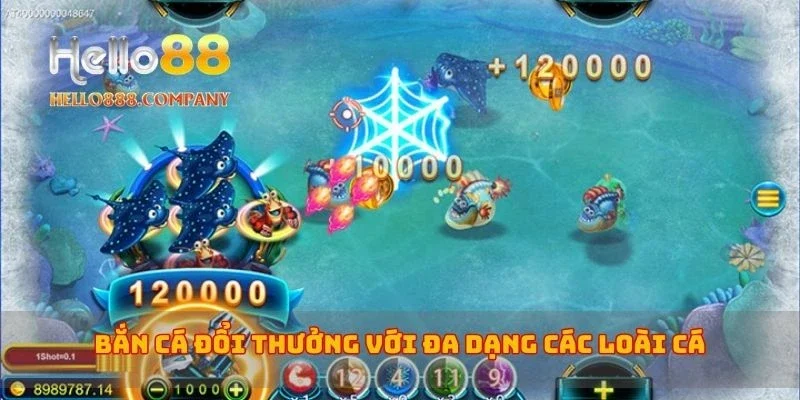 Bắn cá đổi thưởng với đa dạng các loài cá