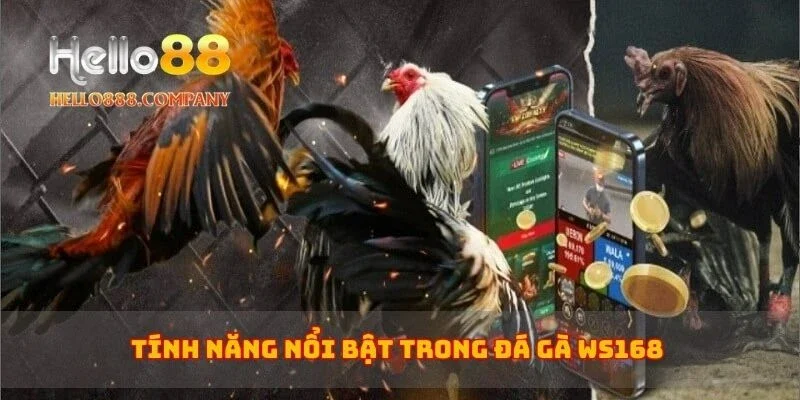 Tính năng nổi bật trong đá gà WS168 